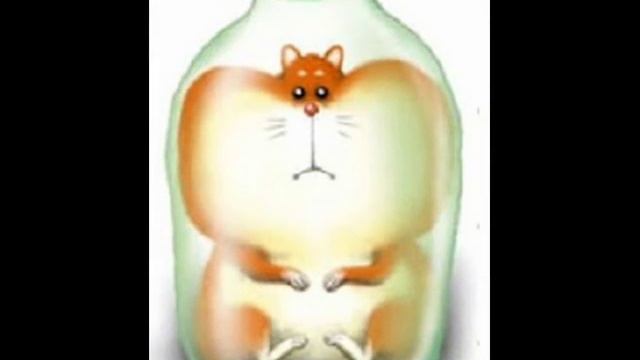 "Песенка про хомяка" автор С.Блакунов смотреть онлайн