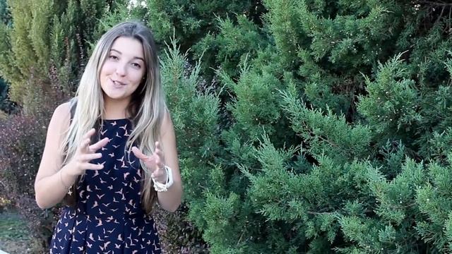 Ведущая мероприятий Галина Ти смотреть онлайн