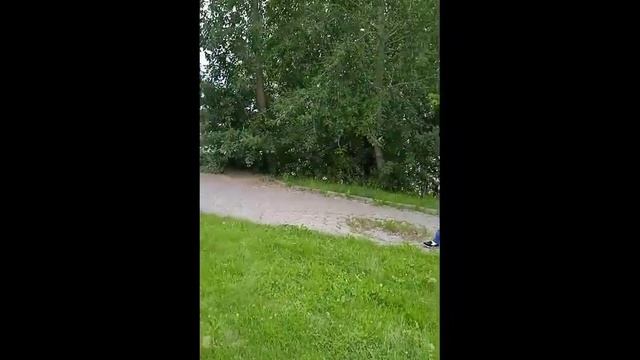 |поездка в парк бондина|нижний Тагил|2 часть|новое интро| смотреть онлайн
