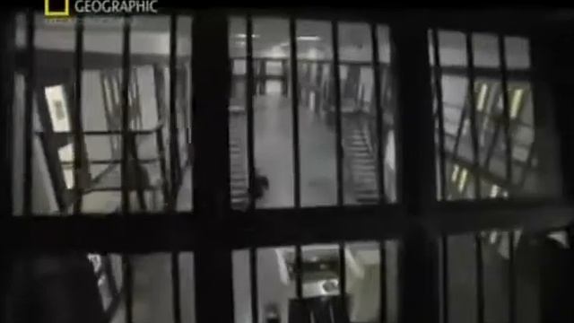 В тюрьмах Англии устраивают трансляции кровавых боев