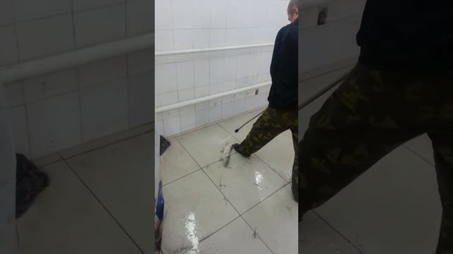 После рыбалки,чистим рыбу! смотреть онлайн