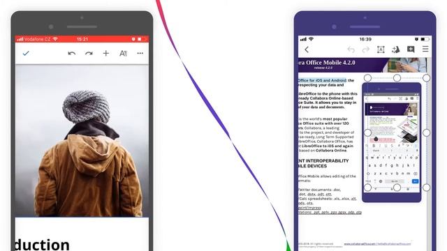 Collabora Office vs Google Docs - Scale images on the go смотреть онлайн