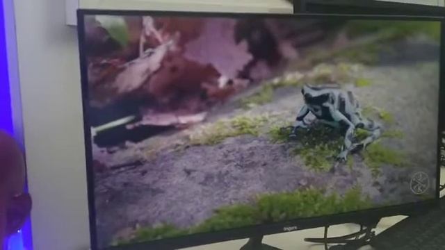 #gaming finger ? full HD TFT LCD monitor смотреть онлайн