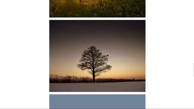 Lazy loading images - Dominant Image Color Placeholder смотреть онлайн