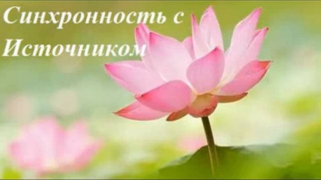 Синхронность с потоками света Отца Матери Источника безусловной любви и света смотреть онлайн