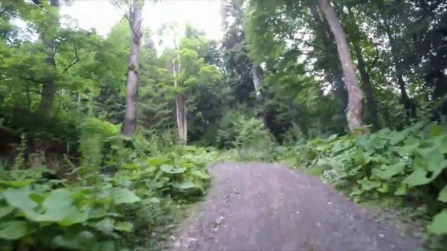 Варварины горки 17.07.23 смотреть онлайн