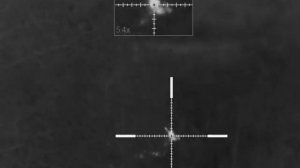 Охота на косулю с 22lr. / 22lr. Roe deer hunting.