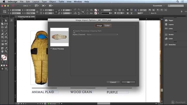 Clipping Paths and Import Options in InDesign CC смотреть онлайн
