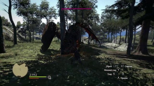 Dragons Dogma Ассасин (соло) Дрейк. смотреть онлайн