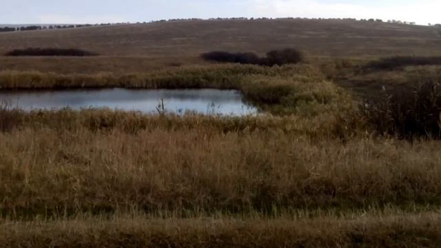 Пруды Мичуринские в Крыму смотреть онлайн