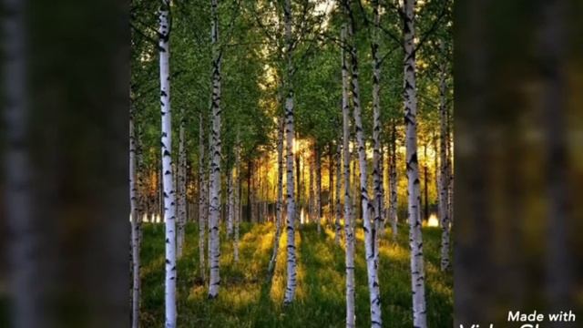 Россия - Родина моя! смотреть онлайн