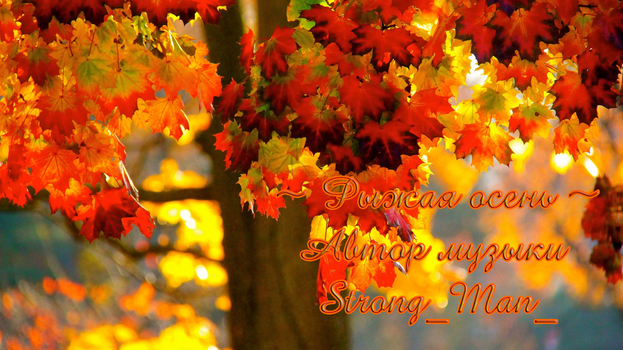 Рыжая осень*