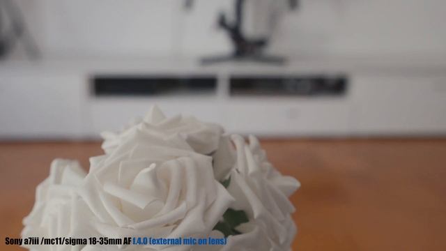 Lens Noise Test Sony A7iii - MC11 - Sigma 18-35mm Autofocus