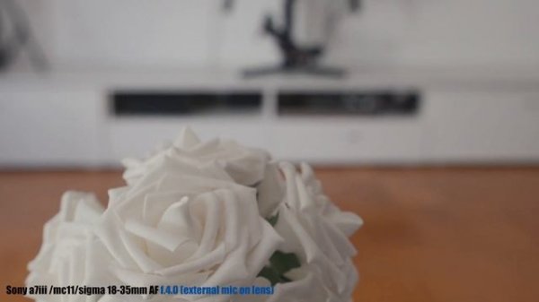 Lens Noise test Sony A7iii - MC11 - Sigma 18-35mm Autofocus