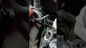 замена топливного фильтра Volkswagen t6