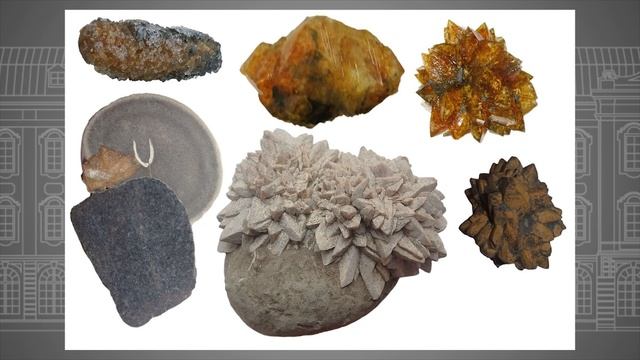 Новости СПбГУ: Исследование учёных СПбГУ поможет реконструировать климат прошлого