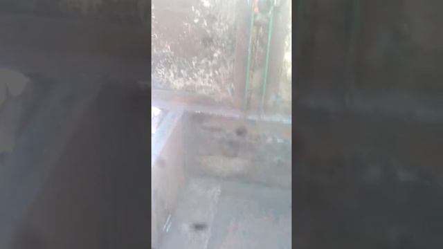 Навісний прицеп смотреть онлайн