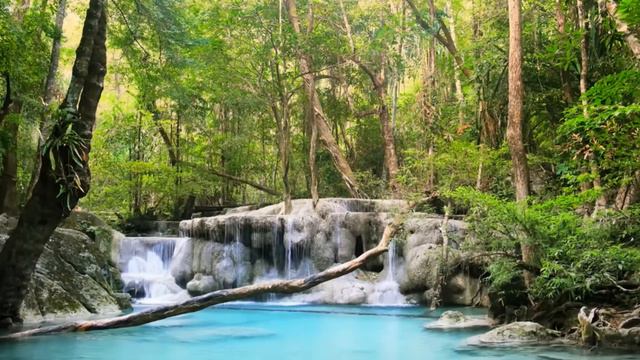 Расслабляющая Музыка В Стиле Дзен Со Звуками Воды • Расслабление, Сон, Спа, Йога, Медитация