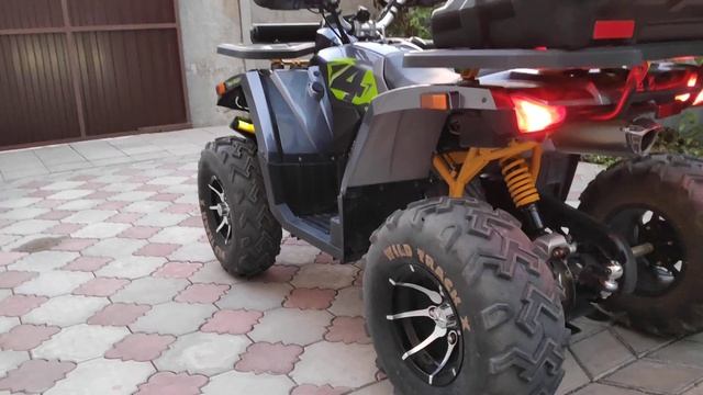 MotoLand Wild track X 200 PRO. Engine sound. смотреть онлайн