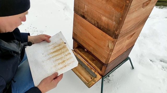 Пасека. 21 ноября 2022 года. Последние работы на пасеке в этом году. смотреть онлайн