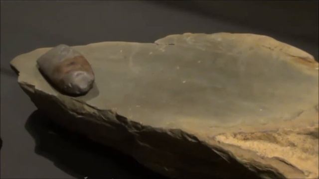 Going to a museum in Tongeren, Belgium. смотреть онлайн