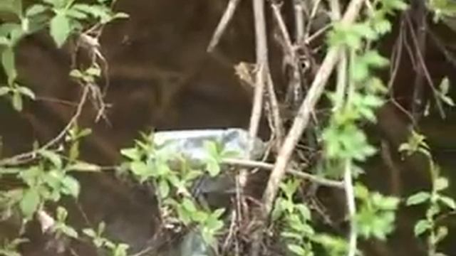 20.05.11 Ртутные лампы смотреть онлайн