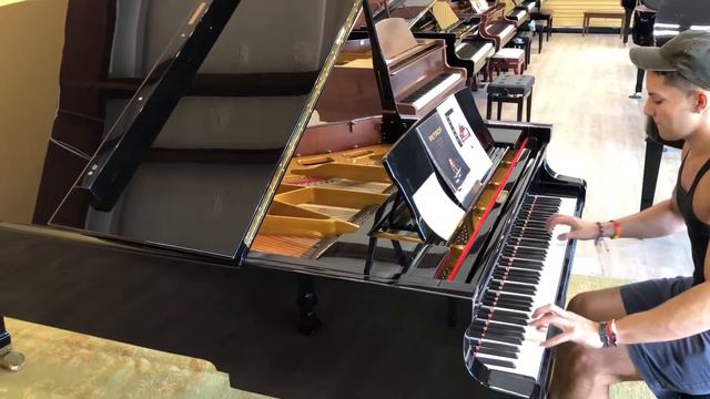 New PETROF II Concert Grand Piano. List $157,300. Sale $57,000 смотреть онлайн