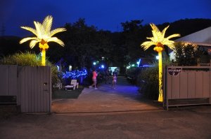 Отдых в Катковой щели с детьми частный сектор. Каткова щель жилье посуточно. «У Эммы» гостевой дом