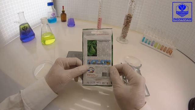 Капуста белокочанная Сердце Буйвола. СеДеК смотреть онлайн