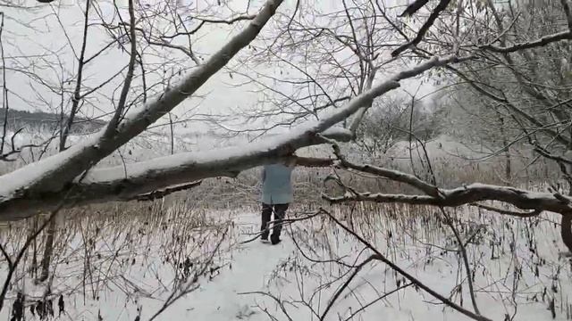 Треккинг на Лохин остров. Московская область. Декабрь 2022. смотреть онлайн