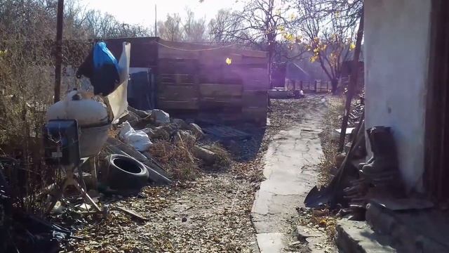Сбежал ХРЯК. Спартак ночевал на улице при -10. Завёл воду в свинарник. смотреть онлайн