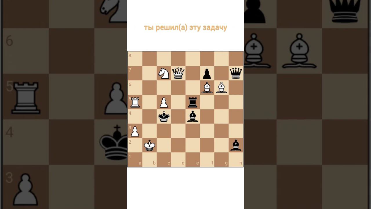 Шахматная задача смотреть онлайн