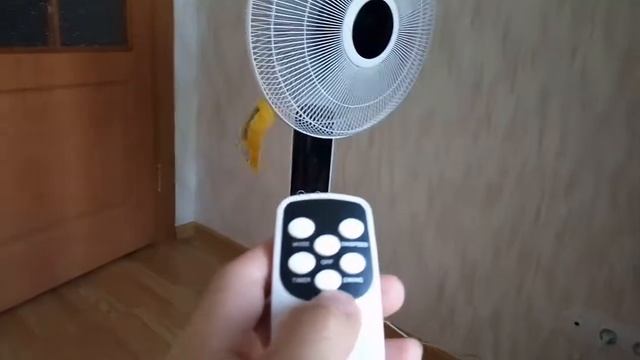 ОНЛАЙН - ТРЕЙД. РУ. Вентилятор напольный Zanussi ZFF-901N (артикул: 2536807) смотреть онлайн