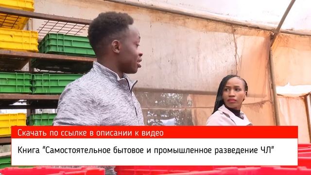 Черная львинка в Кении. Часть 1. На ночь не смотреть смотреть онлайн