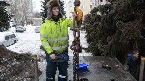 Пересадка взрослой ели. VOVANKRAN