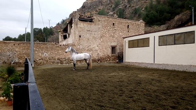 ПРЕДЛАГАЕТСЯ К ПРОДАЖЕ смотреть онлайн