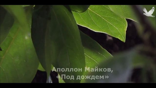 Поэтические шедевры для юных читателей смотреть онлайн