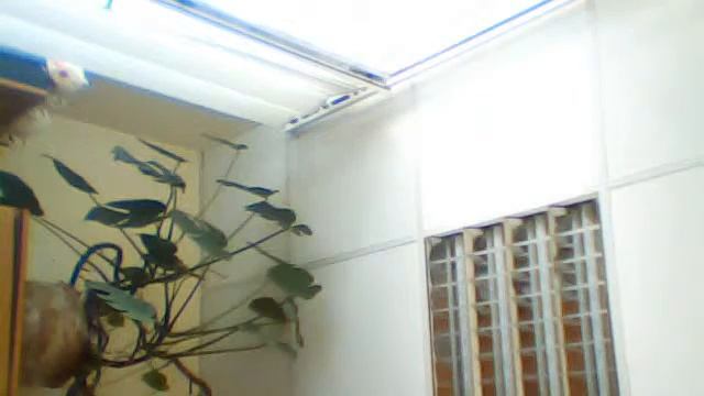 Видео с веб-камеры. Дата: 7 августа 2013 г., 11:09. смотреть онлайн