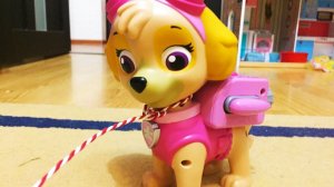 Алиса Мими Лисса прислала подарок ❄Алина  и Юля рады