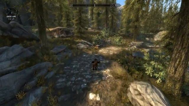 SkyrimSE Werewolf Feral Beast Run смотреть онлайн