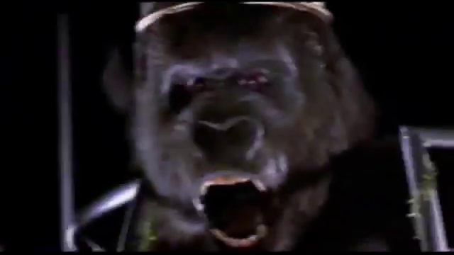 KING KONG VS. AMII STEWART смотреть онлайн