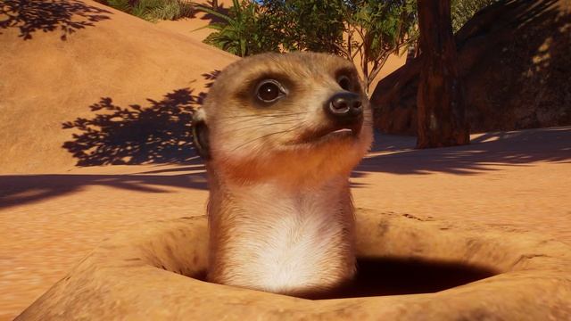 Planet Zoo: Africa Pack | E3 2021 Announce Trailer смотреть онлайн