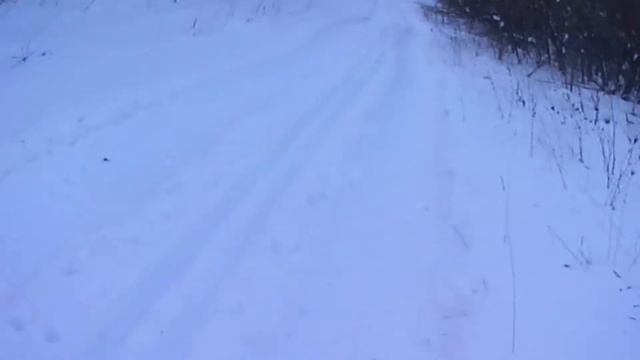 Катание на лыжах смотреть онлайн