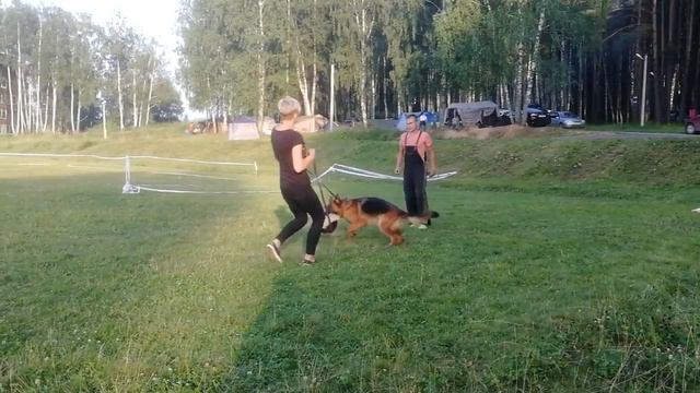 Баларис Керчь 1,7 года тренинг Артур Дулин смотреть онлайн