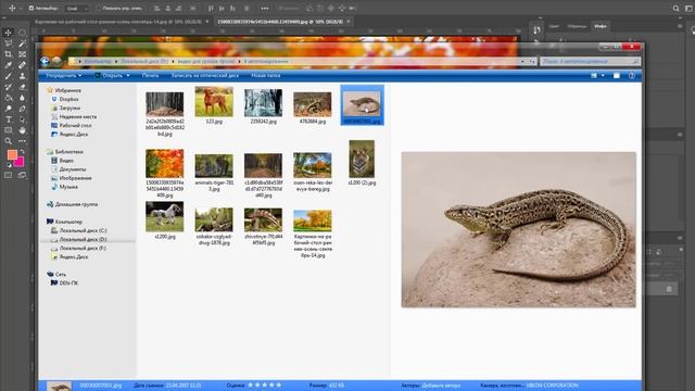Быстрое тонирование фото на основе другой фотографии. Хитрости фотошопа смотреть онлайн