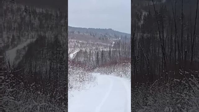 Поедем не поедем_ ? #shorts #car #offroad #toyota #авто