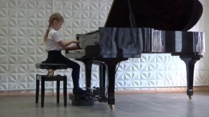 Б.Берлин. ПОНИ ЗВЕЗДОЧКА