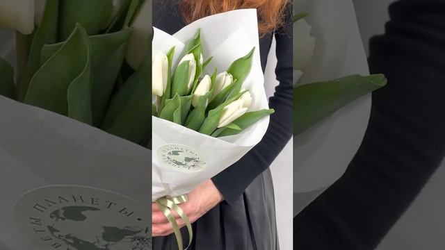 9 белых тюльпанов в Москве смотреть онлайн