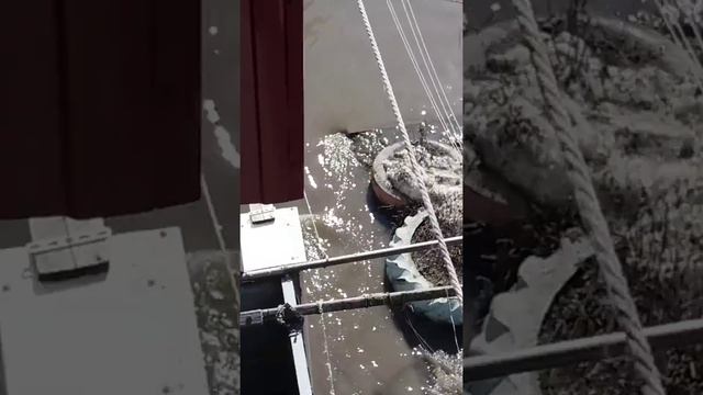 Таганрог коммунальным службам наплевать на ихнюю работу смотреть онлайн