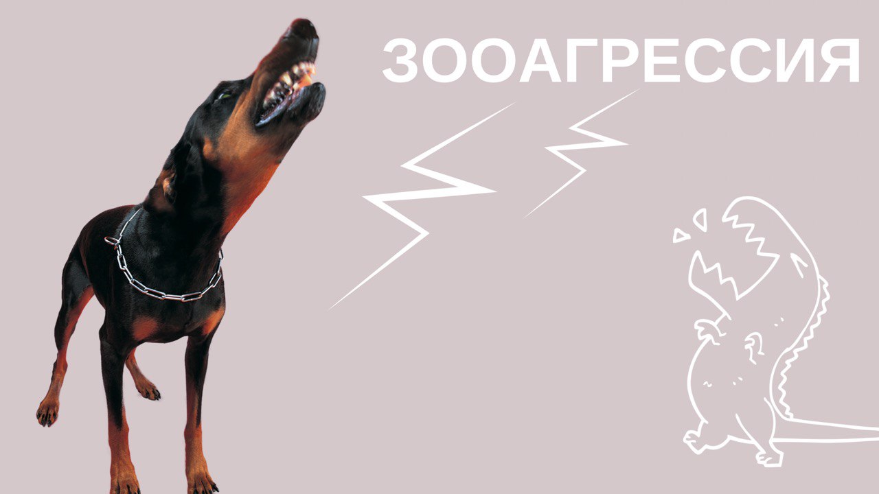 Зооагрессия. Что это и как справиться?
